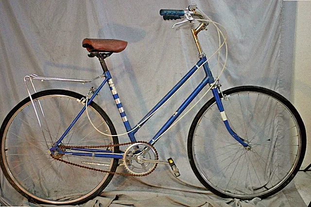 1968 Hercules Cruiser Bike 50cm Small 3S Internal Hub Lugged Steel Cafe Commuter