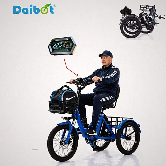 Daibot 20Inch Folding Electric Tricycle for Adults 3 Wheel E Bike E Trike