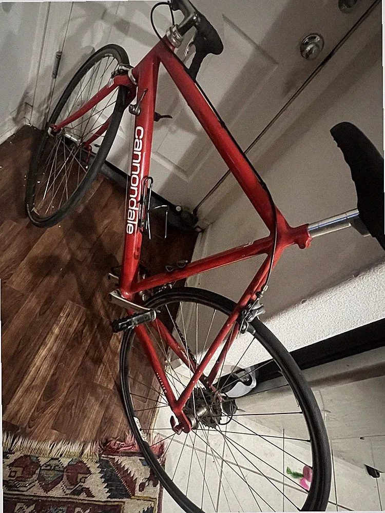 Vintage 91 Cannondale 3.0 Criterium Bicycle W/ campingnolo omega Rims Very Light
